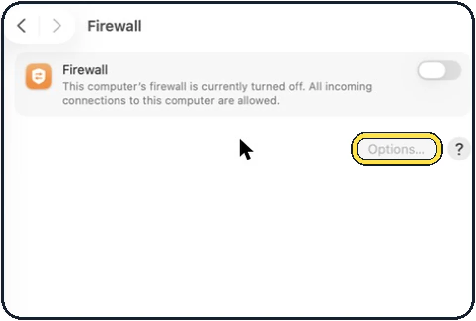 Part of the Mac System Settings window: Click Options for more control
